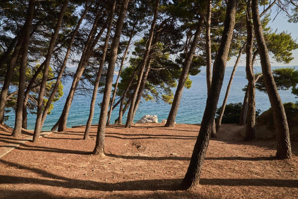 [Omiš] Sagitta all inclusive holiday resort***: Praznik rada ili proljeće u Sagitti!