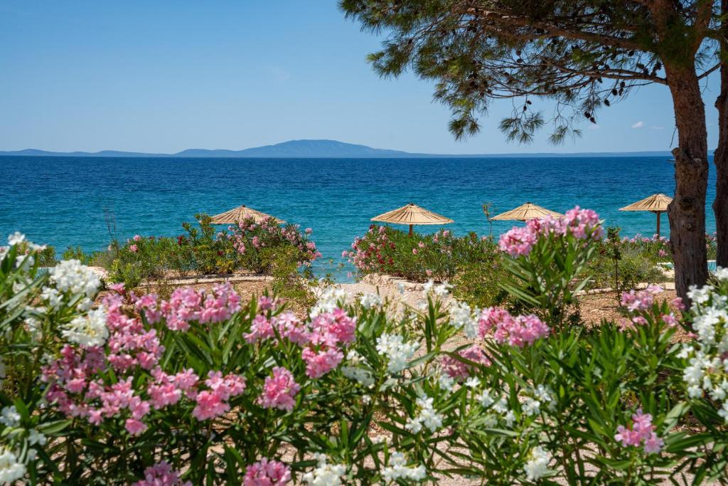 [Otok Pag - Novalja] Terra Park Phalaris Holiday Homes****: Iskusite čari Mediterana na jednom mjestu!