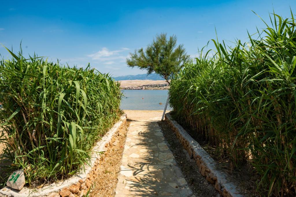 [Otok Pag - Kolan] Terra Park SpiritoS Holiday Homes****: Kamp prelijepih plaža, fantastičnog spoja prirode i luksuza za novu dimenziju odmora!