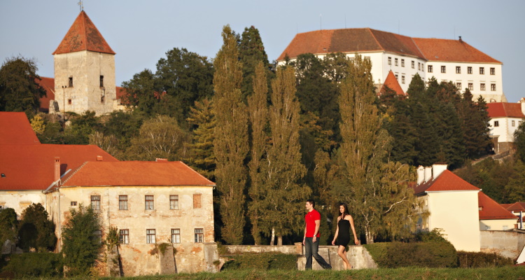 [Terme Ptuj] Bungalovi***: 3 dana sa polupansionom za 2 ili 3 osobe u bungalovima!